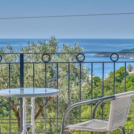 Villa Old Olive Budva Exterior foto
